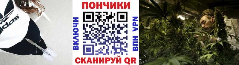 hydra ССЫЛКА  купить наркотики сайты  Тимашёвск  Бошки марихуана White Widow 